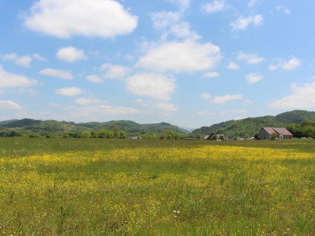 Photo 1 of 23 of Bank St land