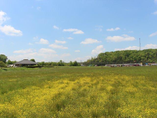 Photo 5 of 23 of Bank St land