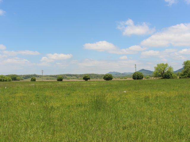 Photo 14 of 23 of Bank St land