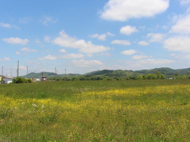 Photo 4 of 23 of Bank St land