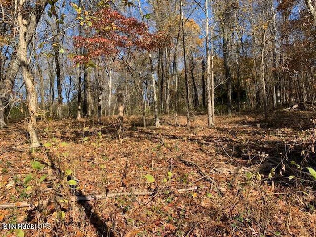 Photo of E Shore Drive, Rockwood, TN 37854 (MLS # 1285603)