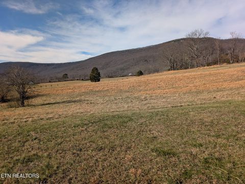 Tiny photo for 29 Brady Lane, Crossville, TN 38555 (MLS # 1326385)