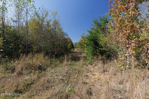 Tiny photo for 0 Doc Loy Rd, Grandview, TN 37337 (MLS # 1359703)