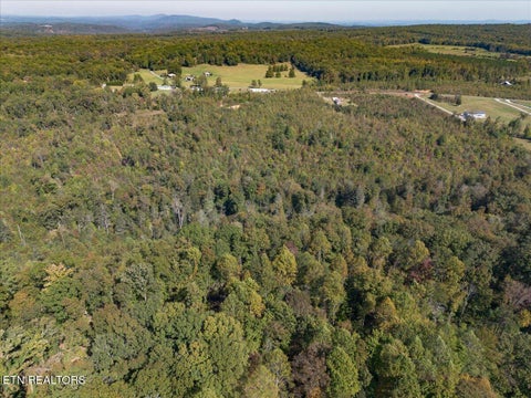 Tiny photo for 0 Doc Loy Rd, Grandview, TN 37337 (MLS # 1359703)