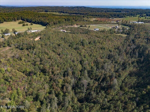 Tiny photo for 0 Doc Loy Rd, Grandview, TN 37337 (MLS # 1359703)