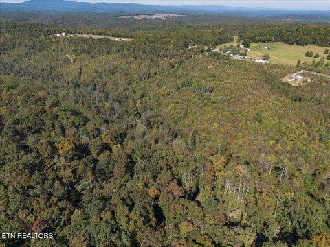 Tiny photo for 0 Doc Loy Rd, Grandview, TN 37337 (MLS # 1359703)