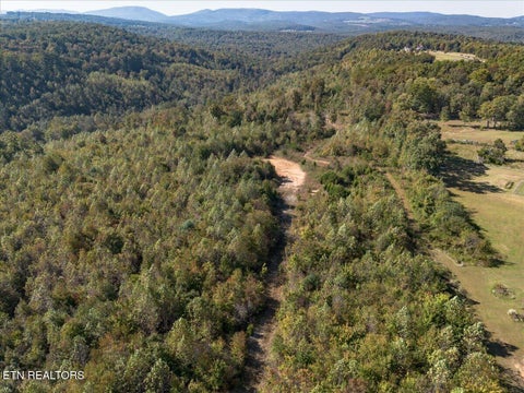 Tiny photo for 0 Doc Loy Rd, Grandview, TN 37337 (MLS # 1359703)