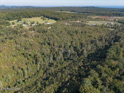 Tiny photo for 0 Doc Loy Rd, Grandview, TN 37337 (MLS # 1359703)