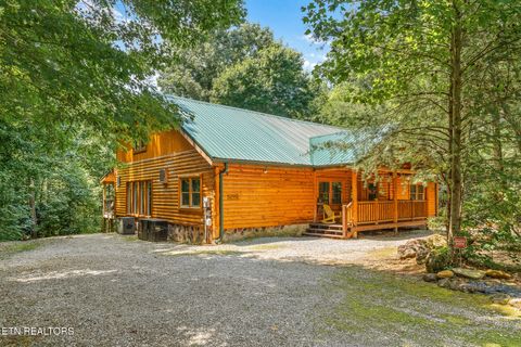 225 Amet Way Cosby TN 37722