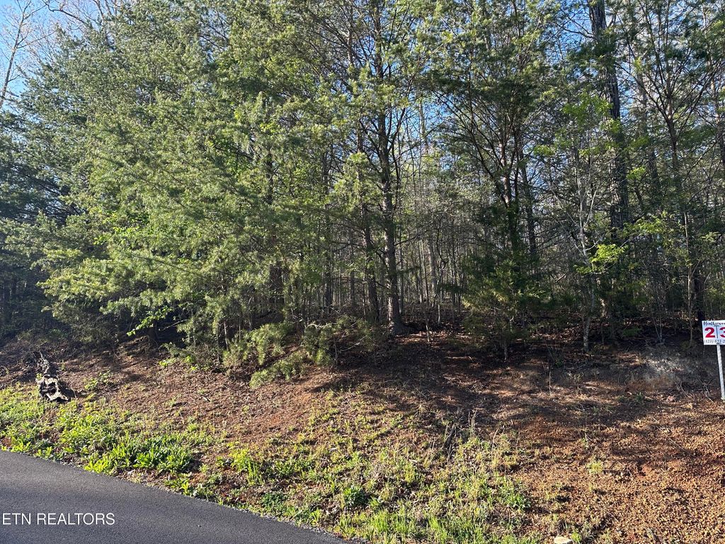 Photo of 2 Timber Trail, Newport, TN 37821 (MLS # 1297917)