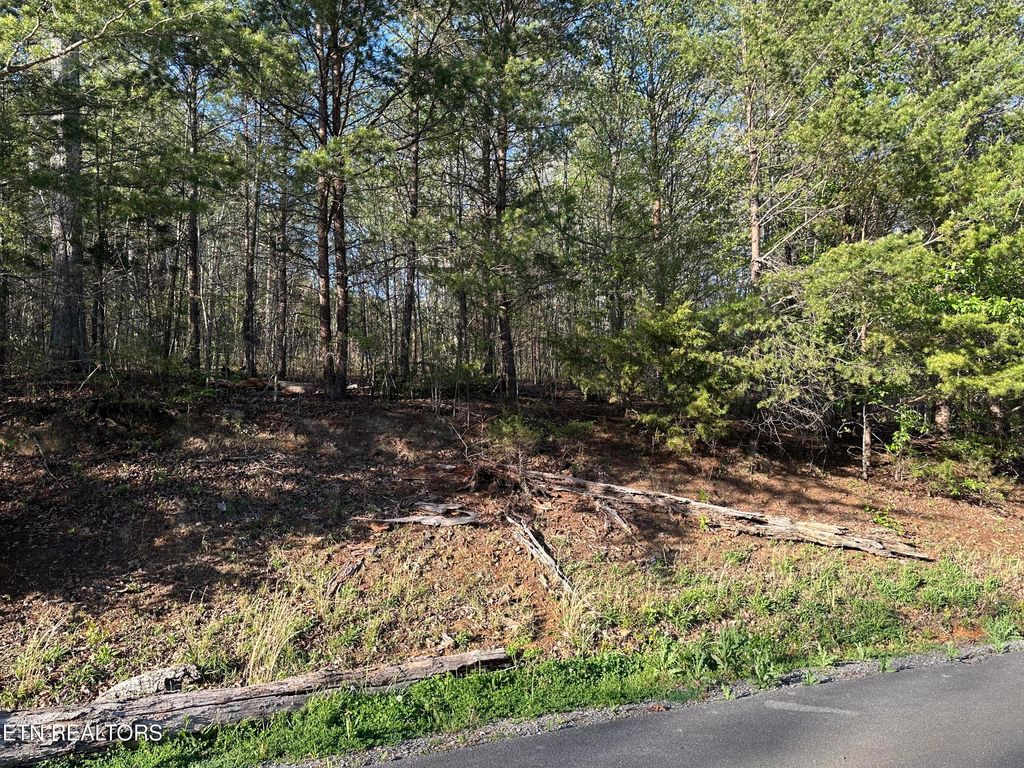 Photo of 2 Timber Trail, Newport, TN 37821 (MLS # 1297917)