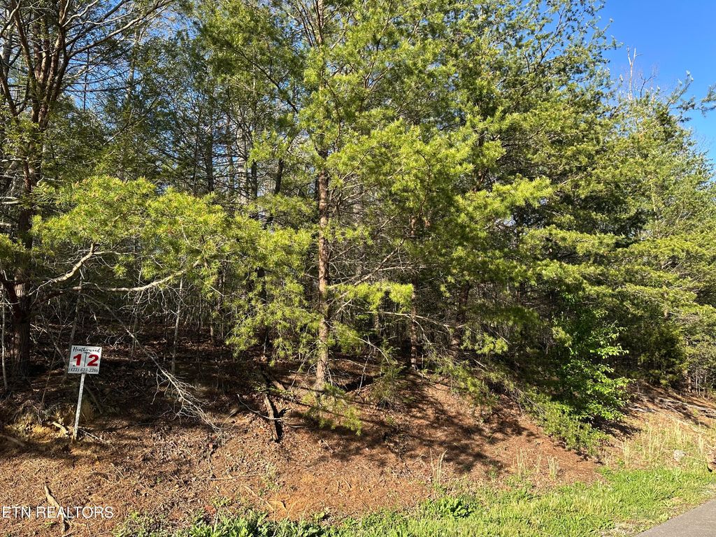 Photo of 2 Timber Trail, Newport, TN 37821 (MLS # 1297917)