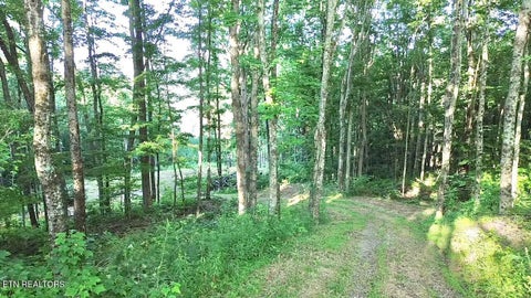 Photo of 183 Persimmon Lane, Pioneer, TN 37847 (MLS # 1344659)