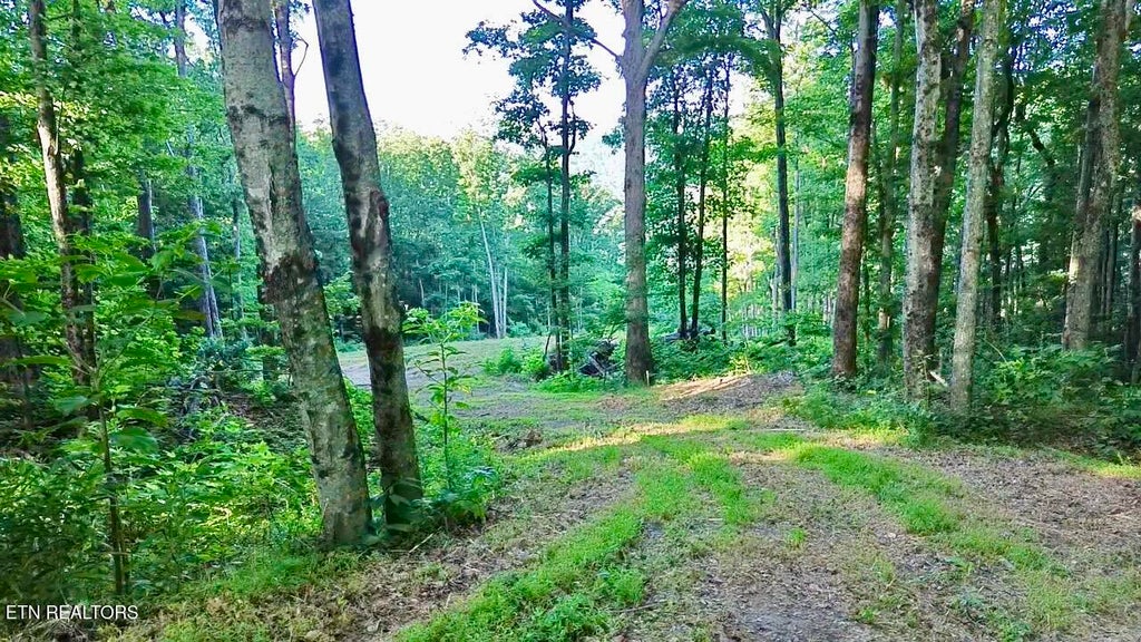 Photo of 183 Persimmon Lane, Pioneer, TN 37847 (MLS # 1344659)