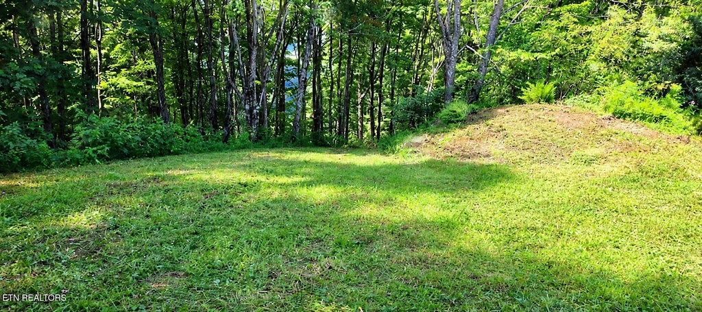 Photo of 183 Persimmon Lane, Pioneer, TN 37847 (MLS # 1344659)