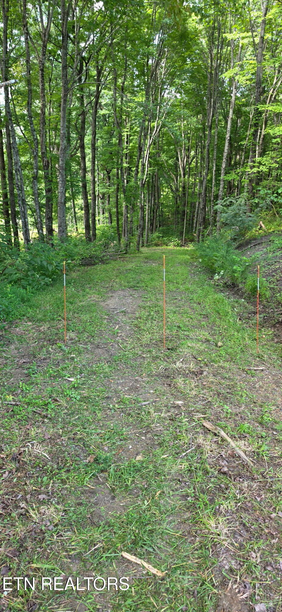 Photo of 183 Persimmon Lane, Pioneer, TN 37847 (MLS # 1344659)