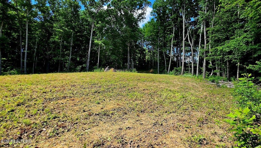 Photo of 183 Persimmon Lane, Pioneer, TN 37847 (MLS # 1344659)