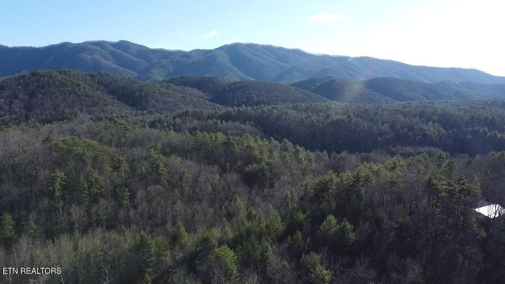 Photo of 000 Mt Pleasant Rd, Vonore, TN 37885 (MLS # 1326146)