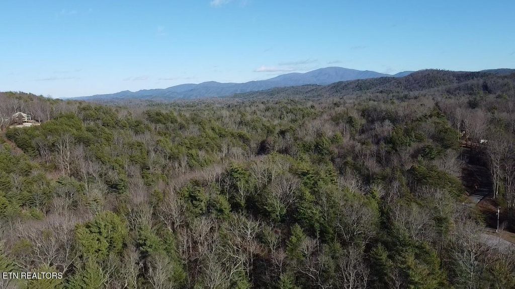 Photo of 000 Mt Pleasant Rd, Vonore, TN 37885 (MLS # 1326146)