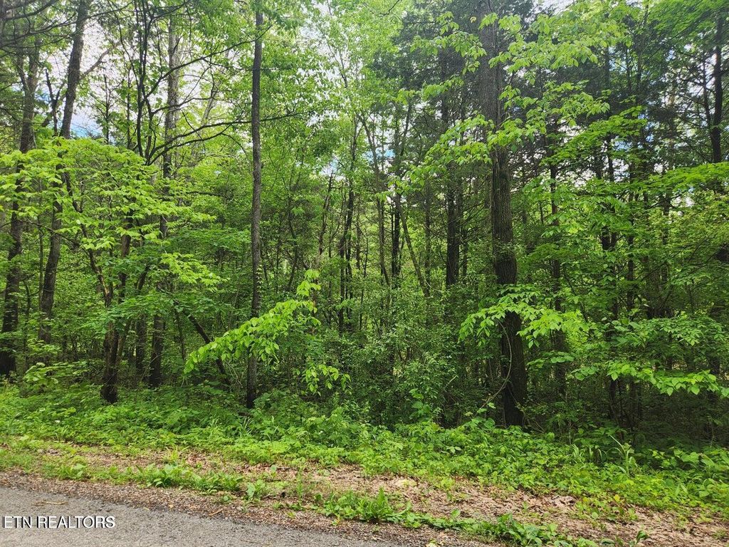 Photo of County Road 121, 5.3 AC, Athens, TN 37303 (MLS # 1331665)