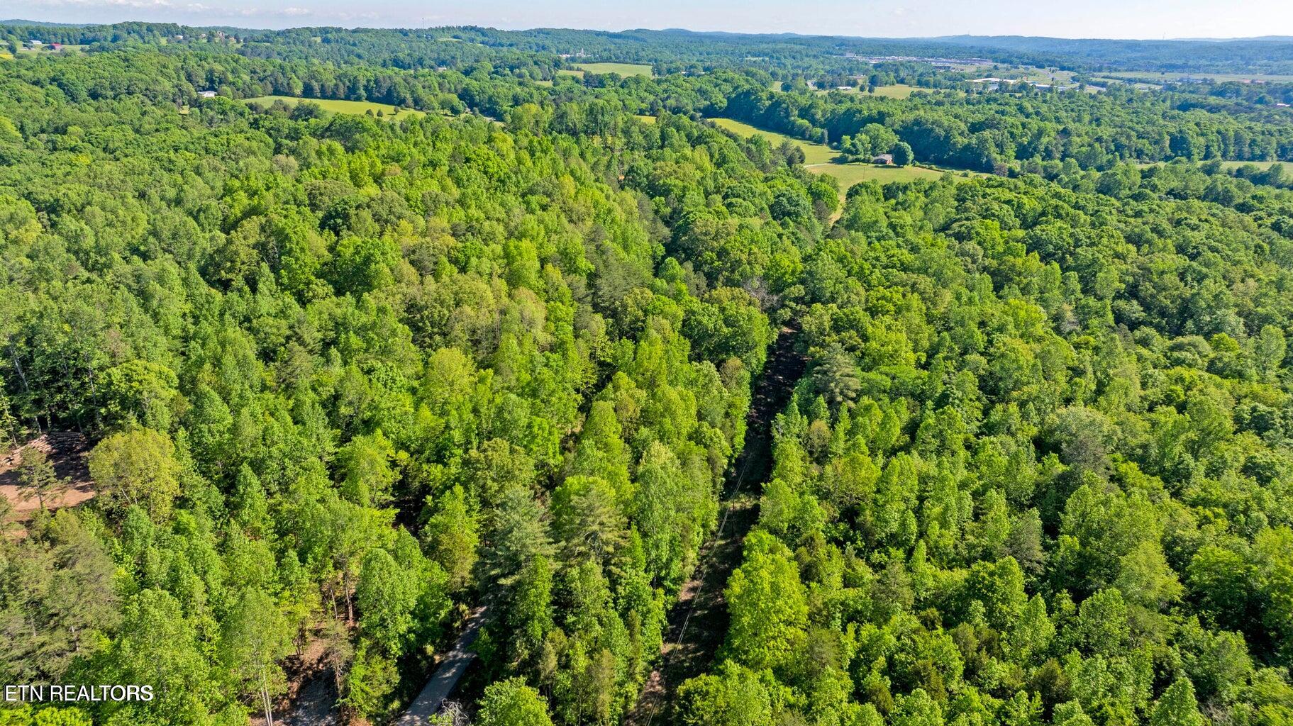 County Road 121, 5.3 AC