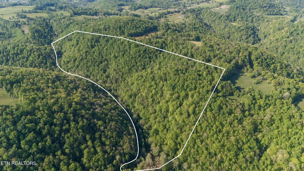 Photo of Bunch Hollow Rd, New Tazewell, TN 37825 (MLS # 1330426)