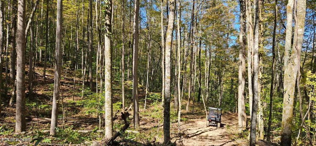 Photo of Bunch Hollow Rd, New Tazewell, TN 37825 (MLS # 1330426)