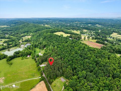 00 County Road 67 Riceville TN 37370