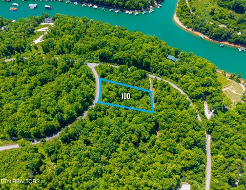 Photo of Lot 100 Saddleridge Drive, Speedwell, TN 37870 (MLS # 1356271)