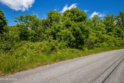 Tiny photo for Lot 100 Saddleridge Drive, Speedwell, TN 37870 (MLS # 1356271)