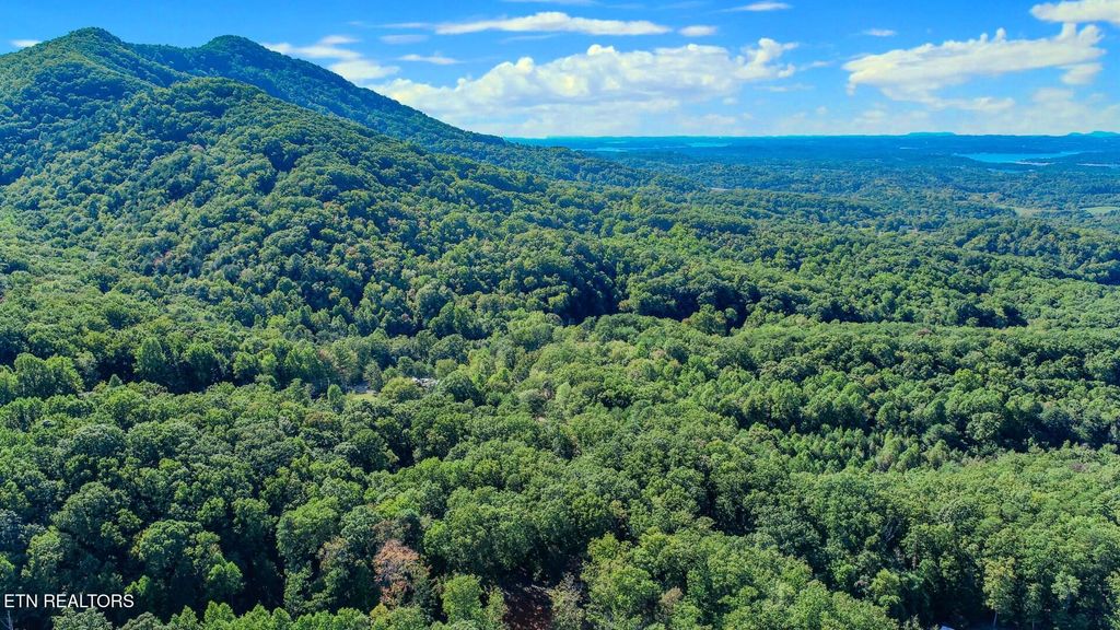 Photo of 113 Huffman Way Way, Newport, TN 37821 (MLS # 1318274)