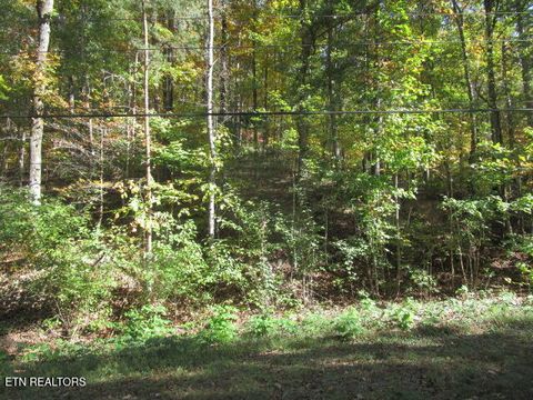 Tiny photo for Long Acres, Blaine, TN 37709 (MLS # 1319102)