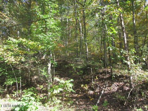 Photo of Long Acres, Blaine, TN 37709 (MLS # 1319102)