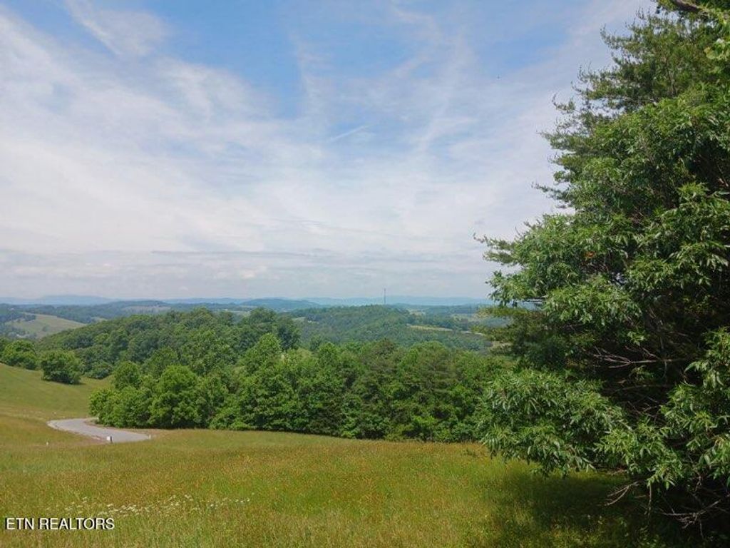 Photo of 28 Topaz Lane, New Tazewell, TN 37825 (MLS # 1341611)