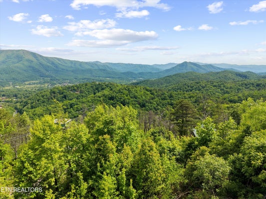 2602 HATCHER MOUNTAIN RD, SEVIERVILLE, TN 37862 - Image bd7f774c75e974f7e7c5122c32bbc75d/1746189768
