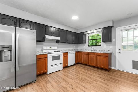 Tiny photo for 4905 Angelia Drive, Knoxville, TN 37921 (MLS # 1347952)
