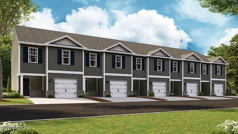 Photo of 266 Jace Way Way, Kodak, TN 37764 (MLS # 1341779)