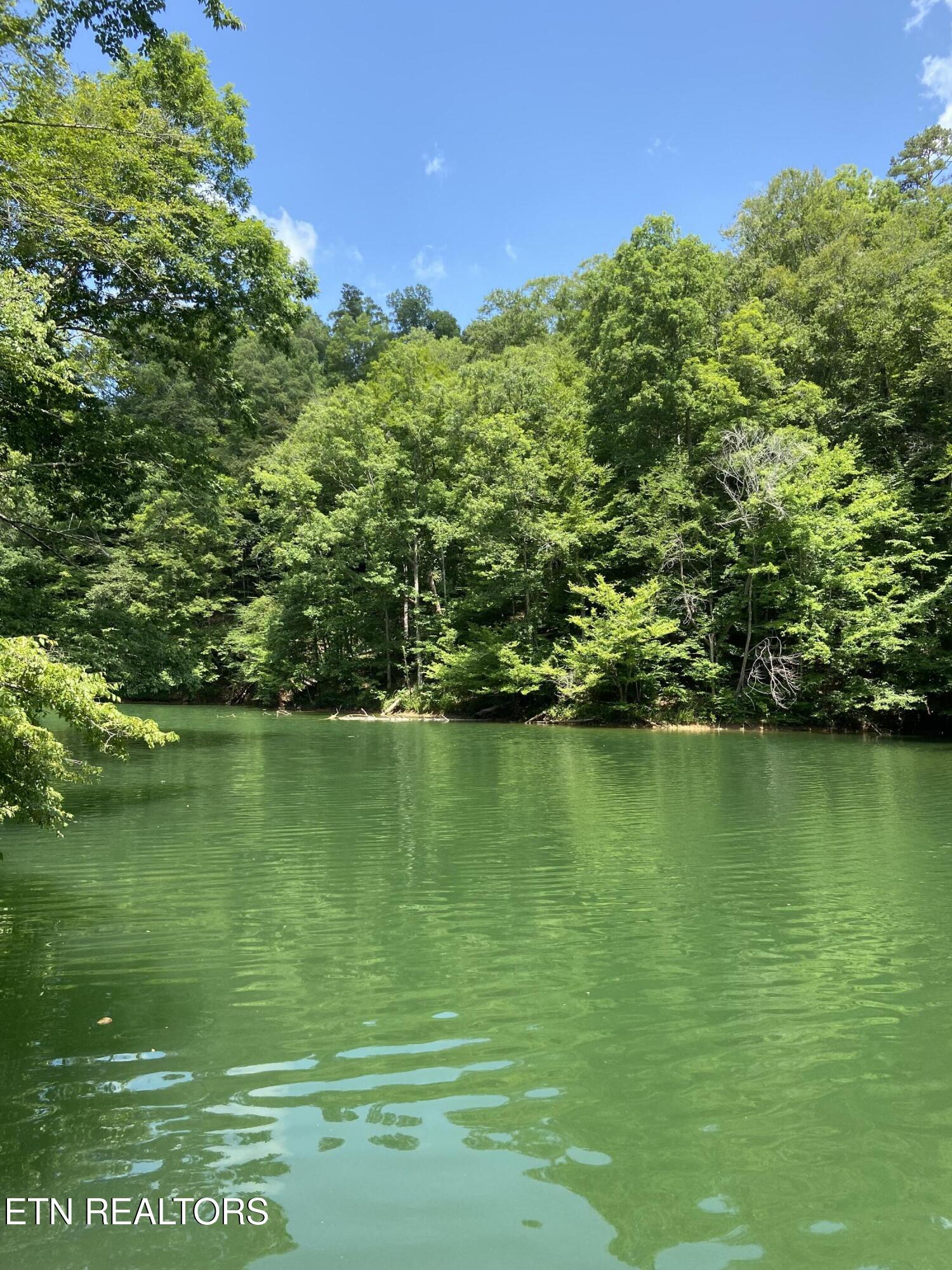 17 Mountain Shores Rd