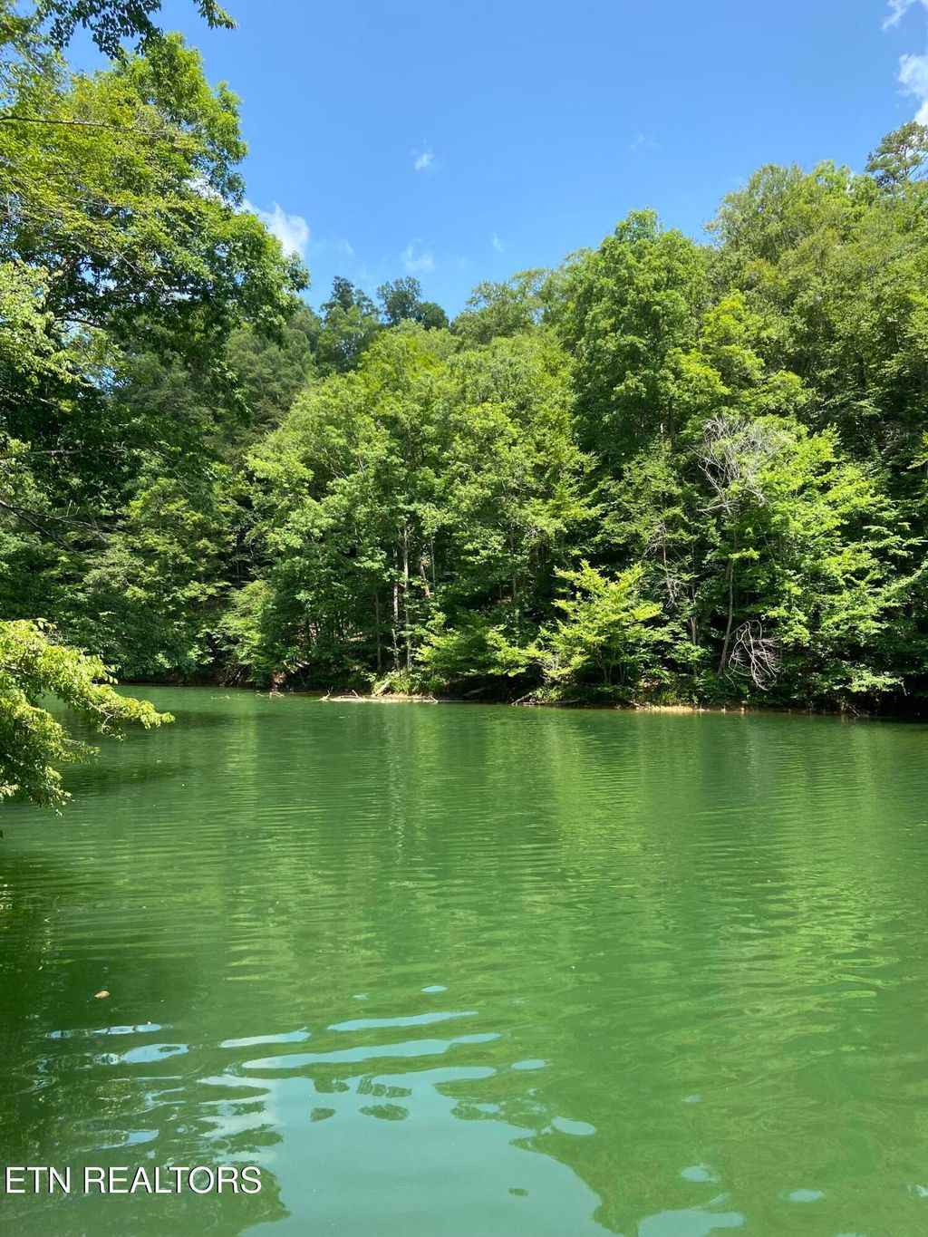 Photo of 17 Mountain Shores Rd, New Tazewell, TN 37825 (MLS # 1297961)