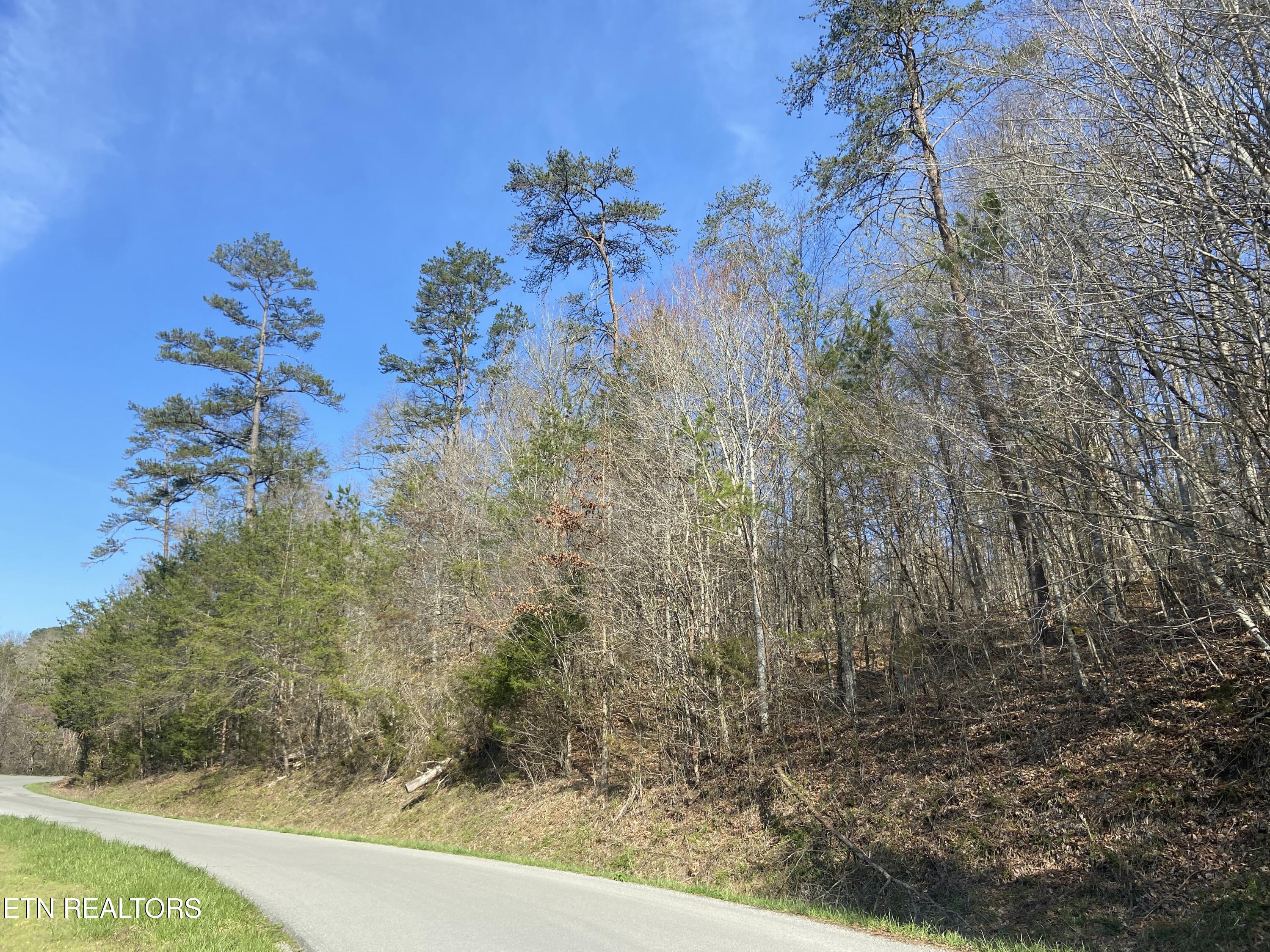 17 Mountain Shores Rd