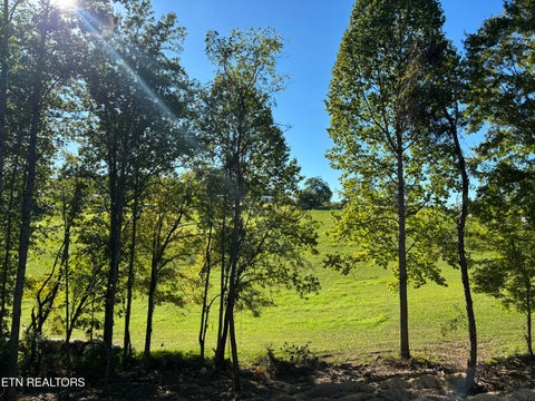 Tiny photo for 128 Whitaker Lane, Tazewell, TN 37879 (MLS # 1357498)