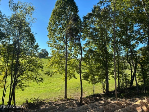 Tiny photo for 128 Whitaker Lane, Tazewell, TN 37879 (MLS # 1357498)