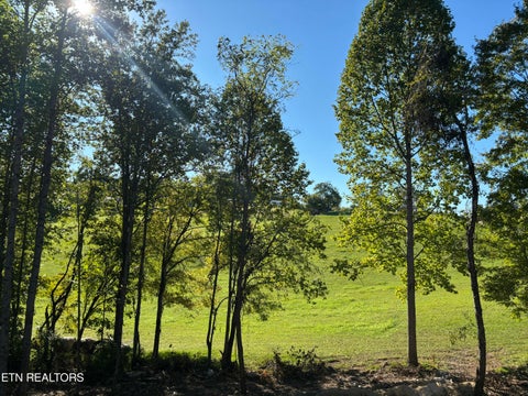 Tiny photo for 128 Whitaker Lane, Tazewell, TN 37879 (MLS # 1357498)