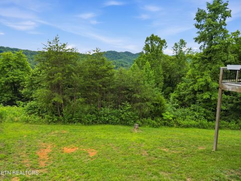 Tiny photo for 198 Owen Moore Drive, Maynardville, TN 37807 (MLS # 1342563)