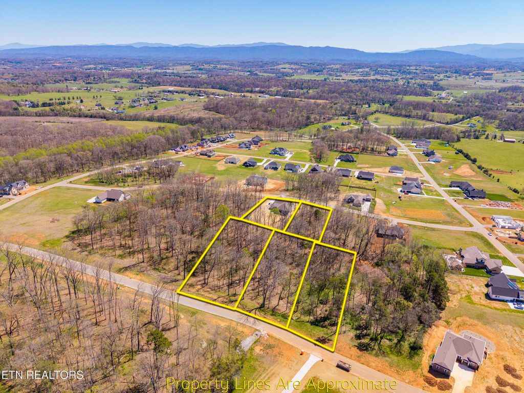 Photo of 1221 Kellys View Drive, Greenback, TN 37742 (MLS # 1335760)