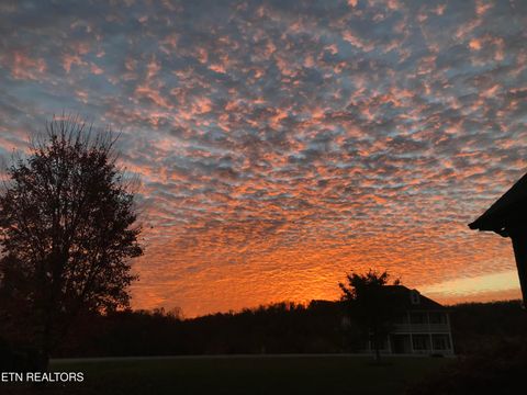 Tiny photo for 1501 New Hope Rd, Rockwood, TN 37854 (MLS # 1325103)