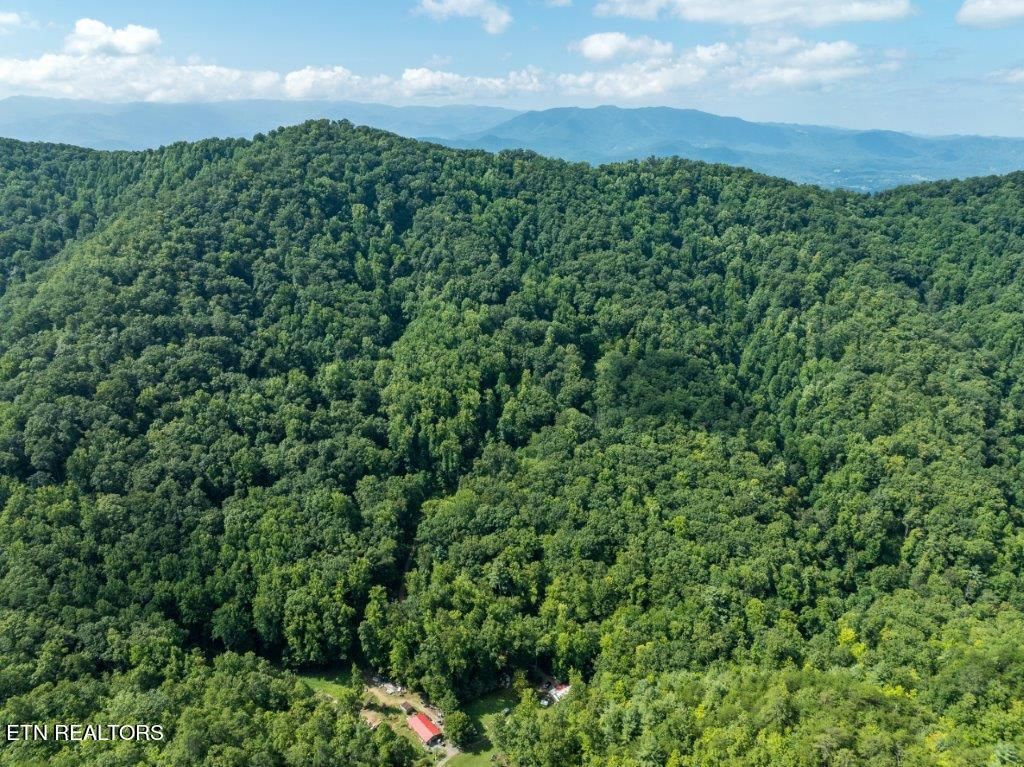 Photo of 10 Carrs Creek Rd, Townsend, TN 37882 (MLS # 1273317)