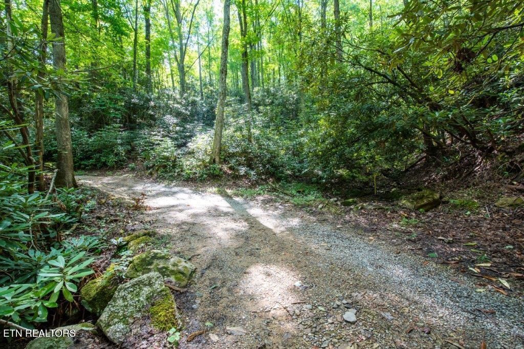 Photo of 10 Carrs Creek Rd, Townsend, TN 37882 (MLS # 1273317)