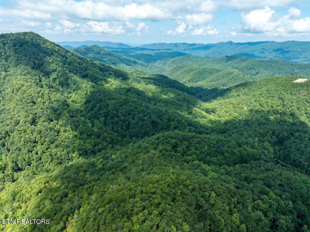 Photo of 10 Carrs Creek Rd, Townsend, TN 37882 (MLS # 1273317)