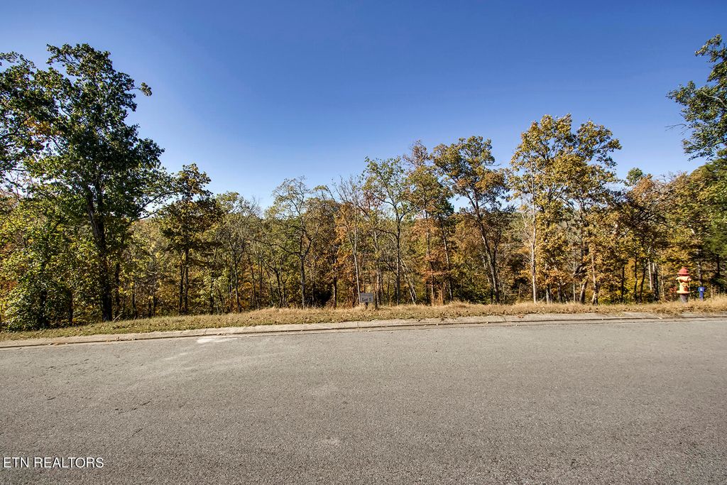 Photo of Waterfront Way, Ten Mile, TN 37880 (MLS # 1244071)